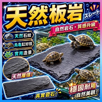 台灣免運現貨【天然板岩】頁岩 陸龜磨甲 爬蟲 岩板 烏龜台 魚缸造景 天然岩石 底砂 烏龜磨指甲 水族底材 水族造景