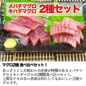 訳あり 天然マグロ2種類 食べ比べ セット 詰め合わせ 合計800ｇ ブロック 小分け 訳アリ 海鮮 冷凍 鮪（まぐろ） 規格外 故郷納税 ふるさとのうぜい 返礼品 高知県 高知 12000円 詰合せ お刺身に