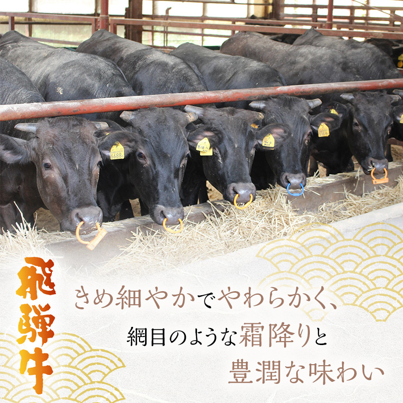 岐阜県海津市産 飛騨牛 モモ又は肩 すき焼き・しゃぶしゃぶ用500g