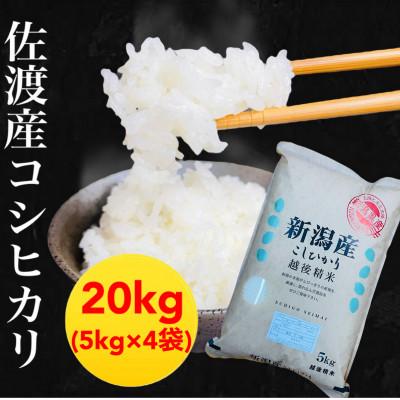 ふるさと納税 佐渡市 佐渡羽茂産コシヒカリ 5kg×4袋セット