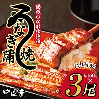 ふるさと納税 泉佐野市 秘伝のたれ仕込み うなぎ蒲焼 (約160g×3尾)鰻 ウナギ 中国産  炭火焼き099H852