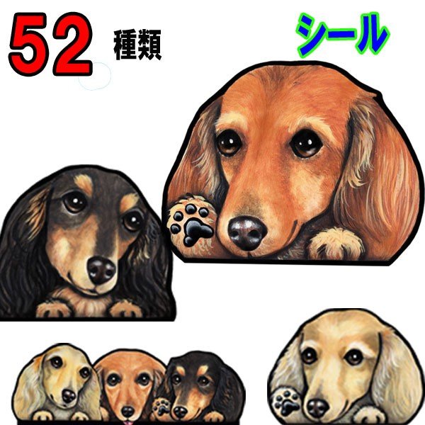 選べる ダックスフンド ミニチュアダックスフンド いぬや かわいい スマホ かっこいい イヌ 可愛い Inuya ギフト シール カーステッカー 車 グッズ オリジナル 雑貨 プレゼント カッコイイ 窓 ゆるい いぬ 犬屋 ペット 犬