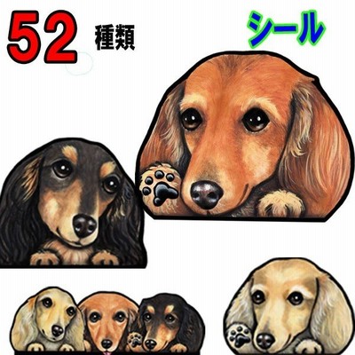 犬 ステッカー ダックスフンド シール 可愛い 車 壁 玄関 ミニチュアダックス オーダー グッズ プレゼント ドッグ イラスト シルエット かわいい 顔 通販 Lineポイント最大get Lineショッピング