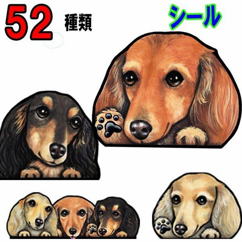 犬 ステッカー ダックスフンド シール 可愛い 車 壁 玄関 ミニチュアダックス オーダー グッズ プレゼント ドッグ イラスト シルエット かわいい 顔 通販 Lineポイント最大get Lineショッピング