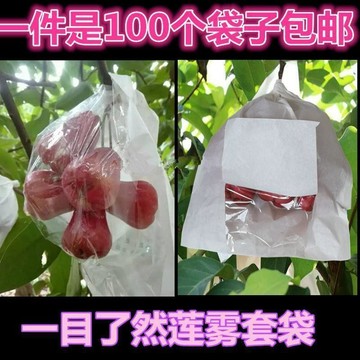 🥇蓮霧套袋防蟲防水海南蓮霧專用套袋黑金剛套袋套果袋子半透明側看