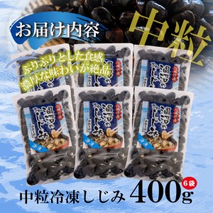 訳あり 涸沼産 中粒 冷凍 シジミ 2.4kg （400ｇ×6袋） しじみ 蜆 大和しじみ ヤマトシジミ 大玉 砂抜き済 冷凍 味噌汁 スープ 魚貝類 貝 オルニチン コハク酸 小分け わけあり 訳アリ