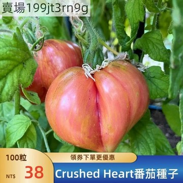 現貨🍅【Crushed Heart番茄種子】（100粒）四季大西紅柿種子 超甜 皮薄 多汁 多年生聖女果種籽 四季高產