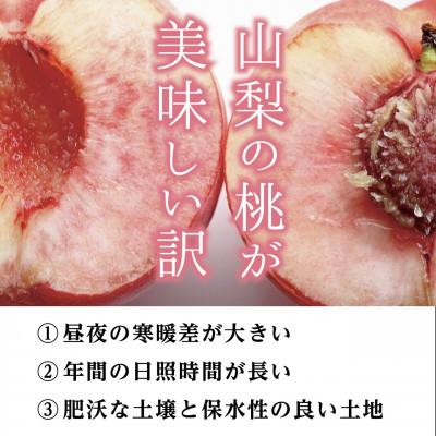 ふるさと納税 笛吹市 山梨県産「厳選桃」5玉(贈答品)