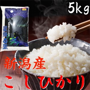 新米５キロ 令和5年 新潟産 コシヒカリ 5kg 新潟産 こしひかり5kg 《白米5キロ お米 コシヒカリ5kg 白米 5kg 美味しいお米 農家直送 1分