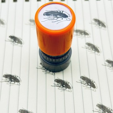 ✨桃園出貨✨小紅書爆款惡搞蟑螂印章趣味卡通整蠱活蟑螂按壓式送朋友