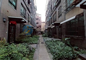 大溪文化路稀有四套房花園美墅｜桃園市大溪區文化路