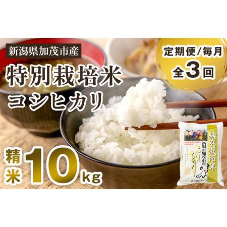 ふるさと納税 新潟県加茂市産 特別栽培米コシヒカリ 精米10kg（5kg×2）白米 従来品種コシヒカリ 加茂有機米生産組.. 新潟県加茂市