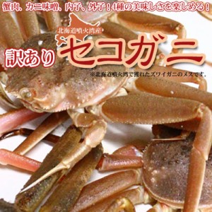 セイコガニ 活 北海道産 香箱ガニ せいこ蟹 セコガニ 訳あり たっぷり4kg詰（13-25尾） 身入り7分前後 送料無料 ※沖縄送料別途加算