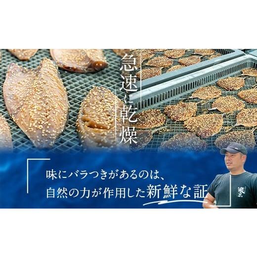 ふるさと納税 鹿児島県 薩摩川内市 AS-005 きびなご塩干1kgセット(500g×2)