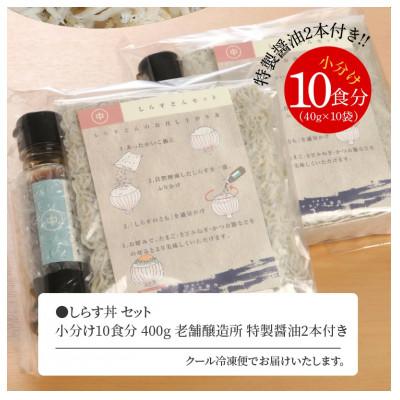 ふるさと納税 延岡市 宮崎産 おうちでしらす丼 しらす丼セット 10食分 漁港前の工場直売店 老舗の特製しょう油付き