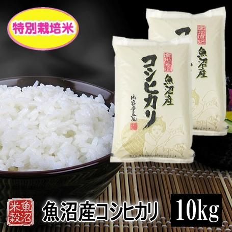 新米 米 10kg 5kg×2 魚沼産コシヒカリ特別栽培米 令和5年産 白米 送料無料（北海道・九州・沖縄除く)離島は発送不可