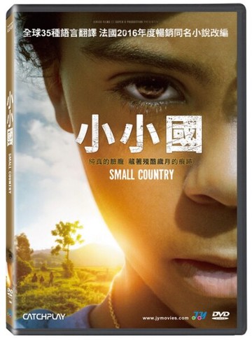 【停看聽音響唱片】【DVD】小小國