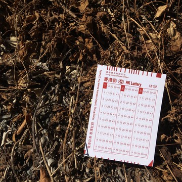 明信片 | #5 彩卷