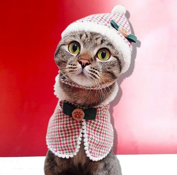 (10%捐公益)繽紛聖誕系列-聖誕斗篷+聖誕帽(草綠)