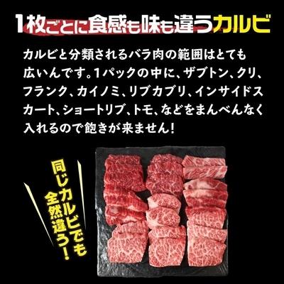 ふるさと納税 南九州市 鹿児島県産黒毛和牛焼肉カルビ 400g