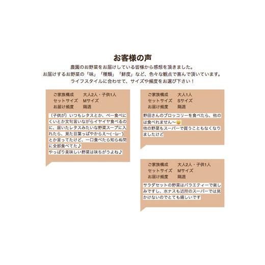 ふるさと納税 兵庫県 淡路市 ご家庭向けお野菜セット〜旬のおまかせBOX〜毎月12回分（1年間）