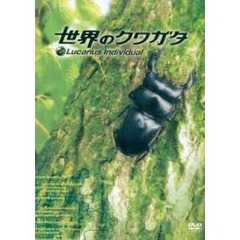 世界のクワガタ（ＤＶＤ）