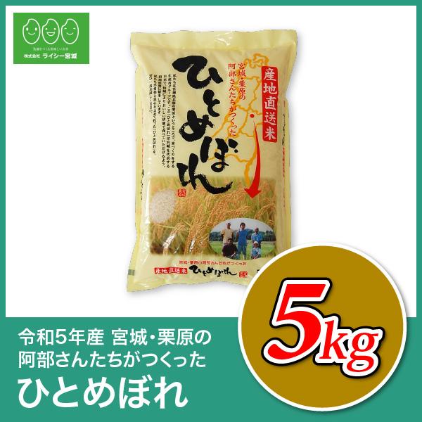 新米 ひとめぼれ 米 5kg 令和5年産 5kgx1袋 お米 宮城県産 白米 送料無料 精白米 産地直送