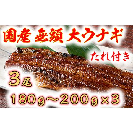 ふるさと納税 国産うなぎ　備長炭地焼き蒲焼き180g以上×3尾　タレ付き×3 滋賀県近江八幡市