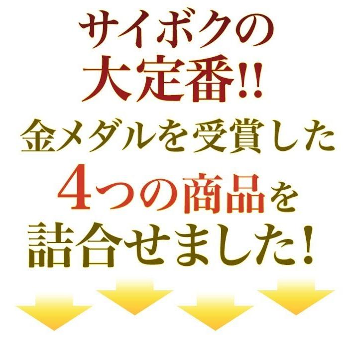 ギフト 内祝い お歳暮 御歳暮 詰め合わせ 肉 送料無料 お取り寄せグルメ オールスター お取り寄せセット 贈り物 贈答品 お取り寄せグルメ お礼 お返し