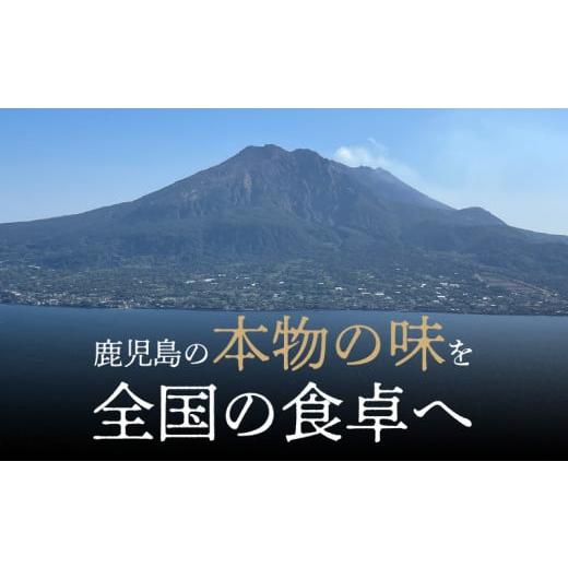 ふるさと納税 鹿児島県 鹿児島市 月揚庵　さつま揚げ詰合せ　K003-001