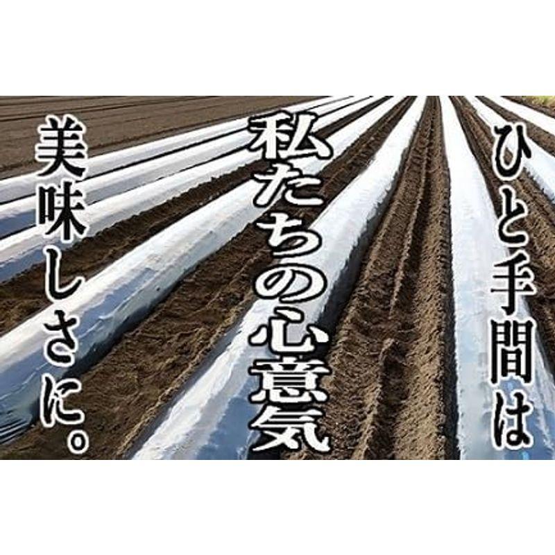 さつま芋 シルクスィート・鹿児島県産 サイズ・3L 15kg
