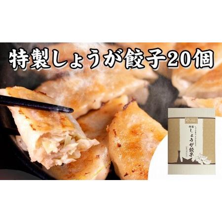 ふるさと納税 [ギョーザ専門店イチロー] 神戸味噌だれ餃子3種（計55個）＆特製小籠包9個セット 兵庫県神戸市