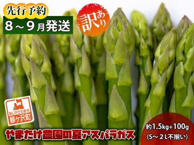 やまたけ農園の夏アスパラガス！約1.5kg 100g（S～2L不揃い）青森県鰺ヶ沢町産