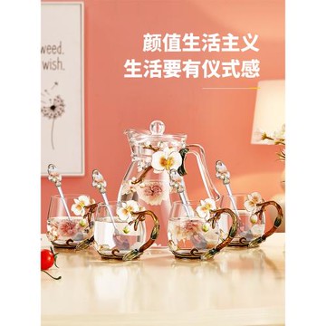 諾詩曼現代輕奢玻璃水杯涼水壺套裝待客家用高顏值一家四口成套