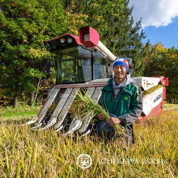 ゆめぴりか玄米 10kg 送料無料 北海道米 農家直送 令和5年産 北海道旭川産 お米 米 ギフト