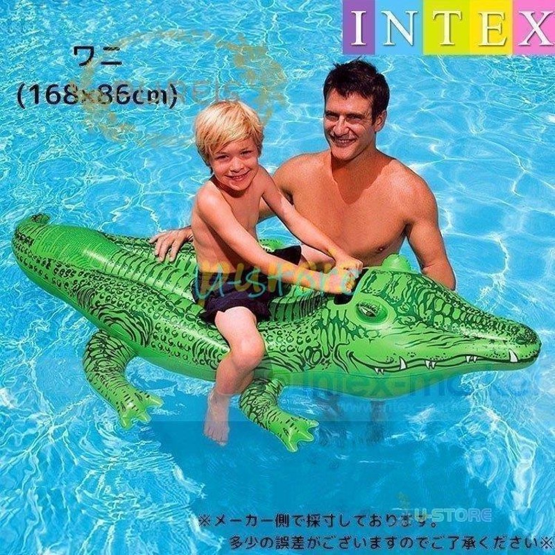 新発売の INTEXシャチフロート浮き具浮き輪ビーチフロート浮輪取っ手付き子供用幼児用サメワニイルカイヌうきわウキワ夏プール海 