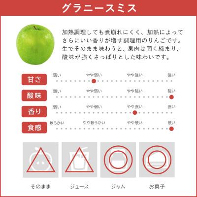 ふるさと納税 飯綱町 りんご グラニースミス 11月下旬より順次発送 贈答用 3kg