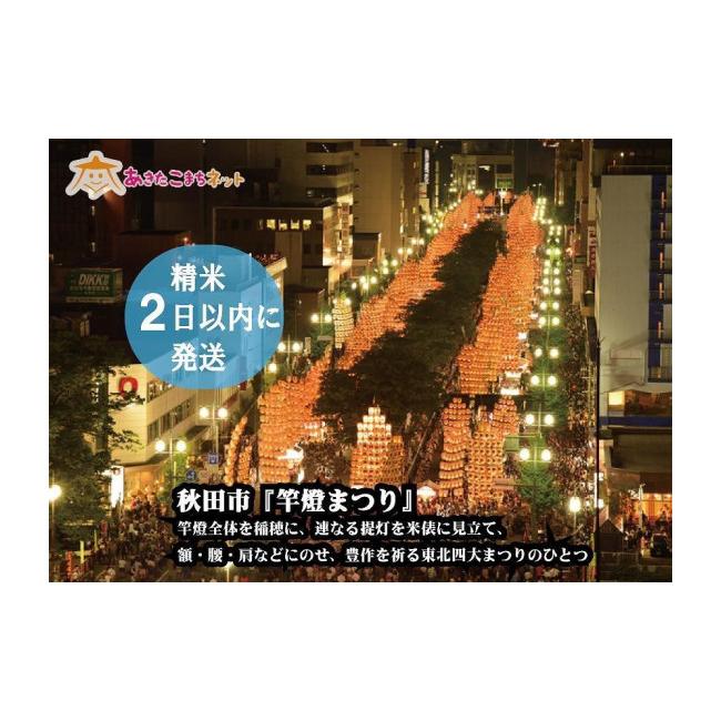 ふるさと納税 秋田県 秋田市 秋田市雄和産あきたこまち清流米5kgと秋田県産サキホコレ4kg