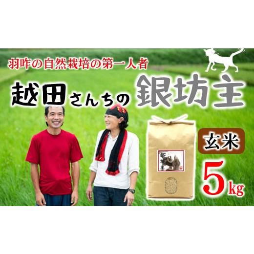 ふるさと納税 石川県 羽咋市 [A230] 自然栽培米　越田さんちの銀坊主（玄米）5kg