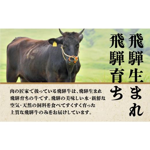 ふるさと納税 岐阜県 高山市 A5 飛騨牛 霜降もも 焼肉 500ｇ ≪冷凍≫ 化粧箱入 和牛 国産 国産和牛 肉 国産牛 匠家 b529