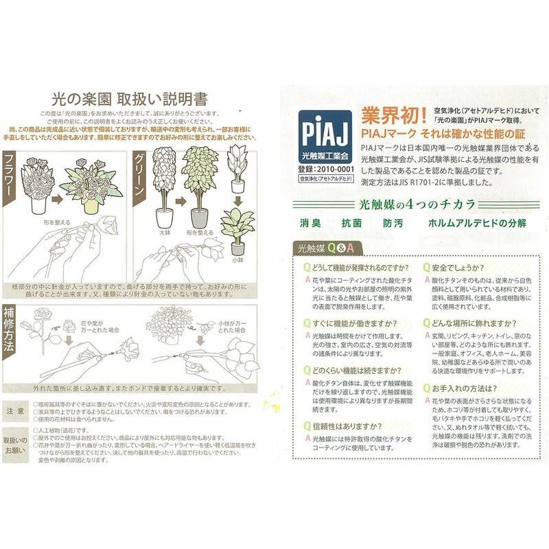 光触媒 人工観葉植物 光の楽園 フィットニアS 230A50 | LINEショッピング