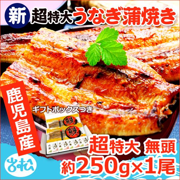 鹿児島産 新 超特大 国産 うなぎ蒲焼き 約250g1尾 送料無料 ギフトボックス付 海鮮 プレゼント グルメ ギフト