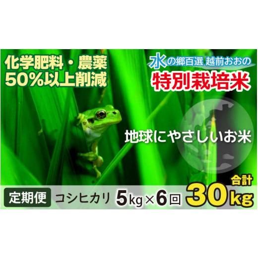 ふるさと納税 福井県 大野市 こしひかり 5kg × 6回 計30kg減農薬・減化学肥料 「特別栽培米」−地球にやさしいお…