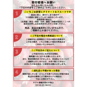 ふるさと納税 完熟いちご（3品種から厳選）300g×４パック（DXパック）（第32回静岡県いちご果実品評会入賞） 静岡県南伊豆町