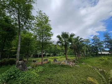 流奶與蜜之迦南美地(原味平房)14C216｜花蓮縣吉安鄉山下路