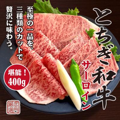 ふるさと納税 宇都宮市 とちぎ和牛サーロイン 3種カット(ステーキ・焼肉・しゃぶしゃぶ) 計400g