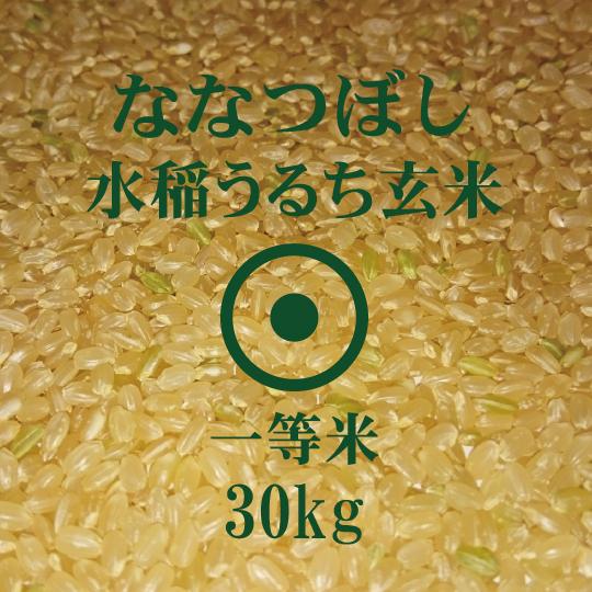  北海道産米 ななつぼし 玄米 30kg　令和5年産　一等米　特Ａ米