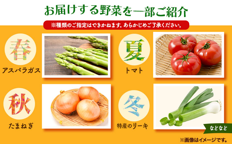 旬の新鮮野菜とお米詰め合わせセット 野菜5～10品目入 青空市きらり《30日以内に順次出荷》岡山県 矢掛町 野菜 野菜詰め合わせ 米 米3kg トマト きゅうり アスパラガス 玉ねぎ リーキ 送料無料---osy_ckrrrys_30d_23_14000_s---