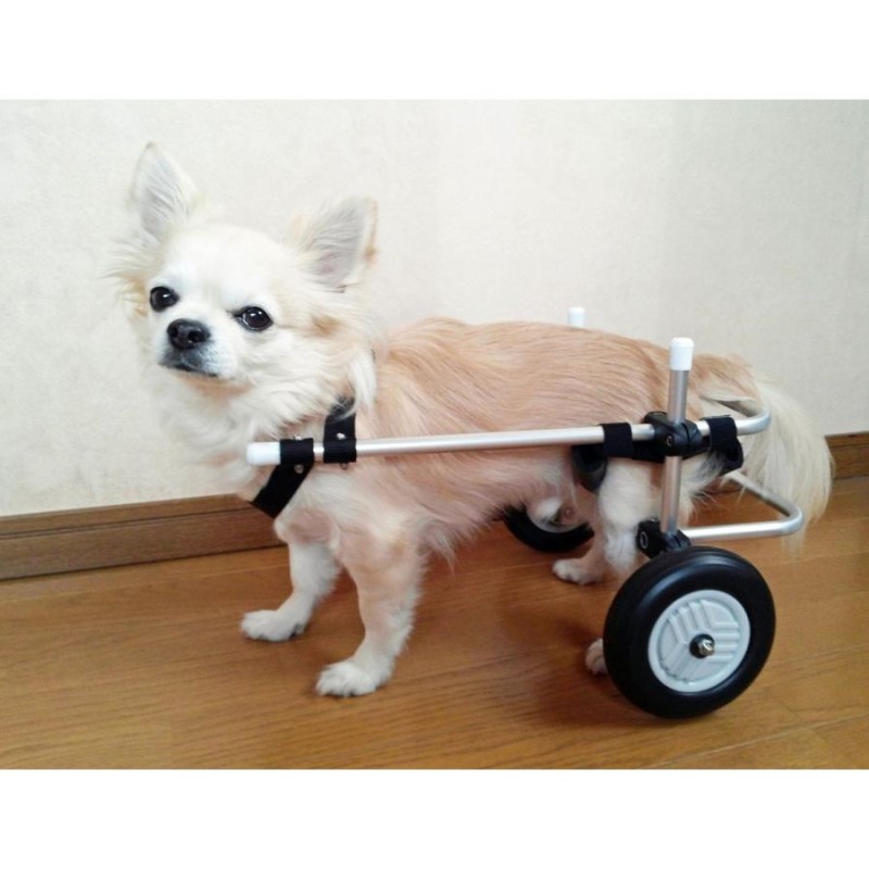 犬用車椅子　犬の歩行器　２輪車　４輪車　犬の車いす　リハビリ用　介護用　サポート