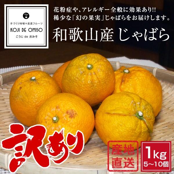 産地直送！ 和歌山産 訳あり じゃばら（ジャバラ）1kg ※サイズ不揃い